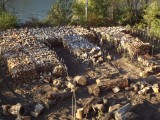 firewood1