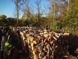 firewood4