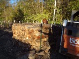 firewood5