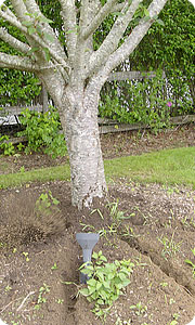 Soil Compaction